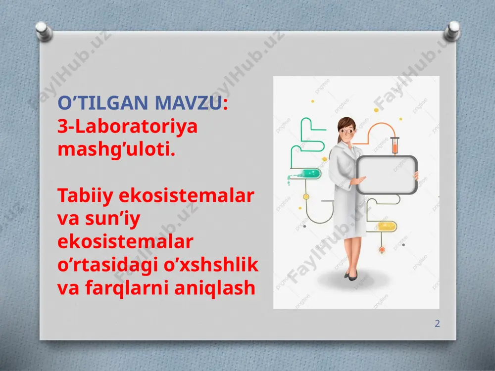 amlari kiradi. hayot litosfera va gidrosfera bilan bevosita bog‘liq. ayrim ulkan daraxtlarning bo‘yi bir necha o‘n metr balandlikkacha yetadi. ayrim yirtqich qushlar yer yuzidan 2-3 km balandlikkacha ko‘tarilib o‘z o‘ljasini izlaydi. bakteriyalar, o‘simliklar, zamburug‘larning sporalari havo oqimlari bilan o‘nlab km balandlikkacha ko‘tariladi. ammo sanab o‘tilgan organizmlar atmosferada vaqtincha bo‘ladi. 13 parnik (issiqxona) effekti tabiatni asrang troposfera hayotning atmosferada tarqalish chegarasi atmosferaning quyi qatlami -troposfera bilan chegaralanadi. troposferaning balandligi qutblarda 8-10 km, ekvatorda esa 18-20 km ni tashkil etadi. troposfera troposferada atmosfera massasining 80% i va suv bug‘larining deyarli hammasi jamlangan. troposferada havo harorati balandlikka ko‘tarilgan sari har 100 m dan keyin 0,6°c ga pasayib, eng yuqori chegarasida esa -45-55°c ni tashkil etadi. troposferada tuman, yomg‘ir, qor, chaqmoq, dovullar va boshqa tabiat hodisalari sodir bo‘ladi. tog‘larda 6 km dan balandda karbonat angidrid gazining konsentratsiyasi juda past bo‘lgani va suv yo‘qligi sababli o‘simliklar o‘smaydi. stratosfera troposferadan yuqorida stratosfera qatlami joylashgan bo‘lib, 50-55 …