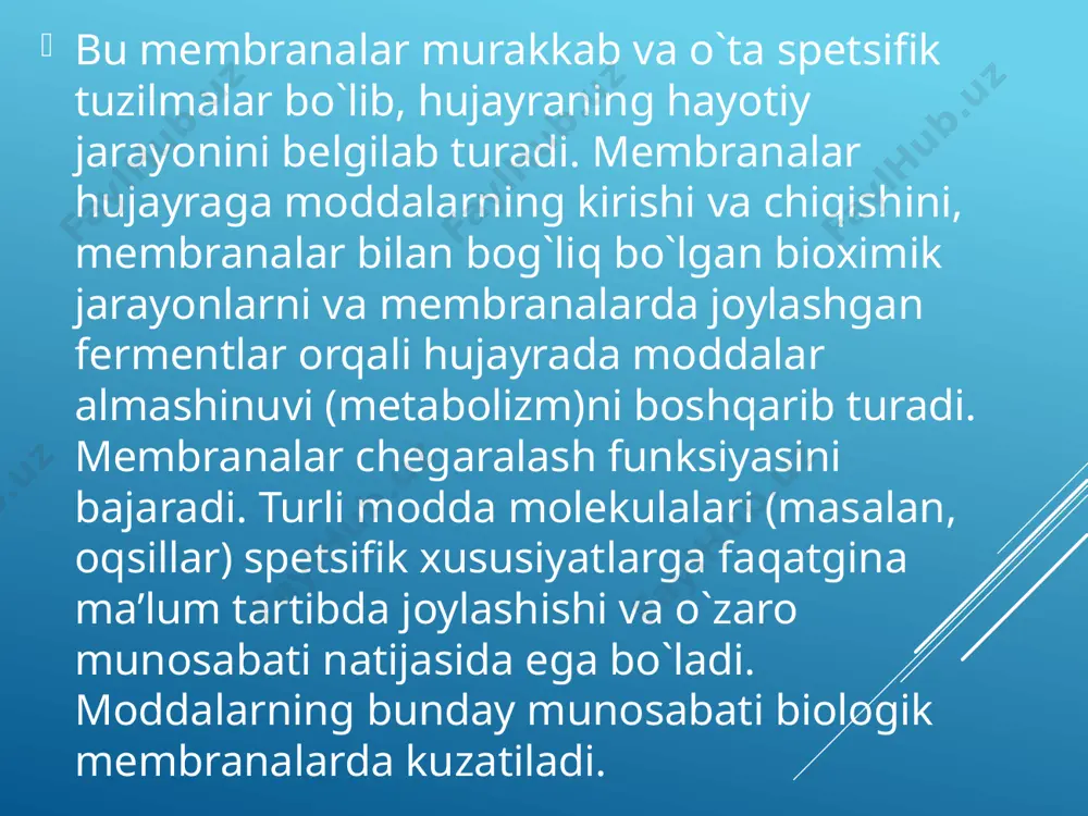 sfingomiyelin alohida o`rin tutadi. lipid molekulalari ikki qavat bir-biriga parallel joylashib, ularning gidrofil (polyar) qismlari tashqariga , gidrofob (nopolyar) qismlari esa bir-biriga qarab yotadi. biologik membranalarda oqsillar lipid molekulalari orasida joylashgan. obrazli qilib aytganda «oqsil molekulalari lipid ko`llarida suzib yuradi» biologik membranalar oqsil, lipiddan tashqari, uglevod, noorganik ionlar va suv tutadi. membrana tarkibiga kiruvchi oqsillar struktur retseptor va globulyar oqsillardir. globulyar oqsillar fermentlarni hosil qilib, moddalarning membrana orqali transportida muhim ahamiyatga ega. biologik membranalarning metabolik funksiyasi ularda joylashgan fermentlar bilan bog`liq. biologik membranalar o`ziga xos baryerlardir, chunki ular hujayrani tashqi muhitdan, hujayra organellalarini sitoplazmatik matriksdan ajratib turadi. biologik membranalar orqali hujayra organellalarining metabolizm bilan bog`liq bo`lgan moddalari o`tadi. agar bu moddalar kontsentratsiyasi past bo`lgan tomonga yo`nalsa va bu transport energiyaning ishtirokisiz bo`lsa, bunday transport passiv transport (diffuziya) deyiladi. moddalarning bunday transporti shu moddaning ximiyaviy gradiyentiga bog`liq. diffuziya yo`li bilan transport maxsus o`tkazuvchan moddalar bilan ham bog`liq bo`lishi mumkin. bu moddalar …