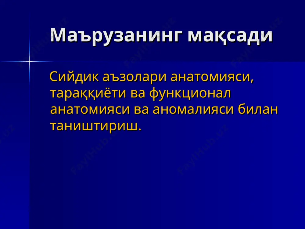 сийдик чиқарув аъзоларининг анатомияси - Page 3