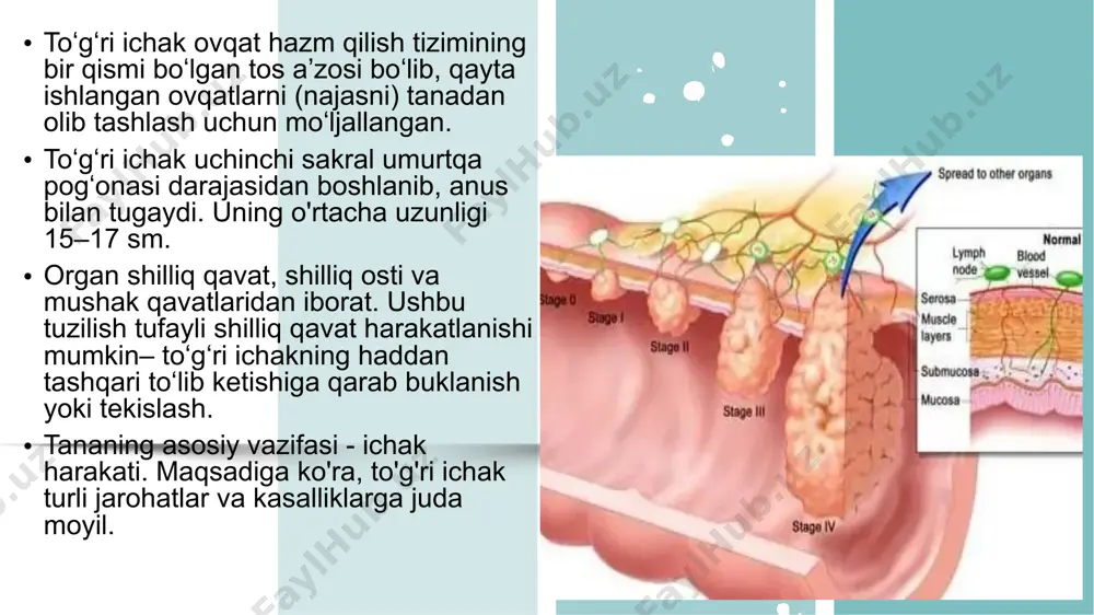 ing orqa chiqaruv yo’li tushmasdan tushishi. 4.orqa chiqaruv yo’li va to’g’ri ichakning tushishi. klinikasi: asta-sekin rivojlanadi,kasallik boshlanayotganda hojatga borilganda faqat shilliq parda tushadi.kasallik rivojlangan sayin to’g’ri ichakning tushishi tez-tez ro’yberib turadi,ichakni qo’l bilan joyiga kiritilgandan keyin,hatto vertical holatda ham uning tushishi qayd qilinadi.bemorlar mehnatga layoqatsiz bo’ladilar. ichak tushganda quyidagi asoratlarni kuzatish mumkin: to’g’ri ichak shilliq pardasida yaralar,nekroz va teshilish (perforatsiya),keyinchalik peritonit paydo bo’ladi. davolash: bolalikda qabziyat,ich ketar,yo’talni bartaraf etishga qaratilgan konservativ davolashning o’zi kifoya qiladi. to’g’ri ichak tushishining yengil turida tirsh operatsiyasi bajariladi – orqa chiqaruv yo’li atrofidagi teri ostiga kumush simning teri osti implantatsiyasi bajariladi. kyummel-zereni bo’yicha rektopeksiya operatsiyasi. bu operatsiyaning mohiyati to’g’ri ichak devorini umurtqa pog’onasining bo’ylama boylamiga dumg’aza umurtqalari sohasiga fiksatsiya qilishdan iborat. to’g’ri ichakning tushishi anal sfinkterning yetishmovchiligi bilan birga uchraganda yuqorida aytilgan operatsiyani chanoq muskullarini mustahkamlash bilan to’ldiriladi e’tiboringiz uchun rahmat! image1.png image2.png image3.png image4.png image5.png image6.png image7.jpeg image8.jpeg image9.jpeg image10.png image11.jpeg image12.png image13.png image14.jpeg …