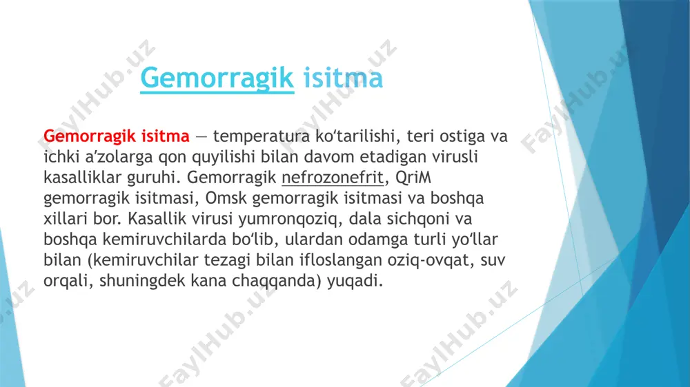 rtiq serologik guruxlari mavjud. leptospiralar nam sharoitda uzok, yashaydi, past haroratga chidamli. kasallikning tabiiy, xonaki va aralash oʻchoqlari bor. tabiiy oʻchoqlarda, asosan, kemiruvchilar, uy sharoitida esa qoramol va qoʻy-echkilar, choʻchqa hamda kalamush va sichqonlar infeksiya manbai hisoblanadi. kasallikning bosqichlari va shakllari. leptospiroz jarayonida ikkita asosiy bosqich mavjud: bakterial bosqich - organizmga kirgandan keyin qon aylanish tizimi orqali mikroorganizmlarning ko'payishi. toksik bosqich - ichki organlarning shikastlanishi va tananing kuchli intoksikatsiyasi. kasallikning ushbu bosqichida alomatlar paydo bo'ladi. kasallikning rivojlanishiga qarab bir necha bosqichlar ajratiladi: infeksiya kasal hayvondan odamga be-vosita muloqotda yoki teri, shuningdek, ifloslangan suv va oziqovqat orqali yuqadi. sariklik bilan kechadigan toʻsatdan qaltirish, harorat koʻtarilishi, qattiq bosh ogʻrigʻi, koʻngil aynishi va qusish bilan boshlanadi; dam-badam isitma tutishi kasallikka xos. muskullarda kuchli ogʻriq, badanda mayda toshmalar boʻladi. buyrak, jigar, baʼzan qon tomirlar zararlanadi. kasallikning 4-kuniga kelib badan sargʻayadi. sariqsiz l. (suv isitmasi)da ham isitma chiqadi, muskul va boʻgʻimlar ogʻriydi, lekin badan sargʻaymaydi, …