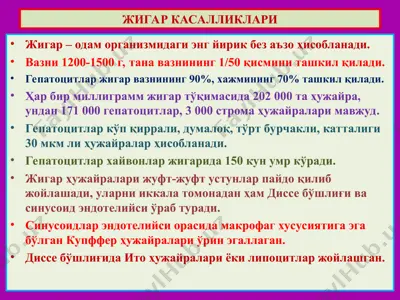 жигар касалликлари — PPT