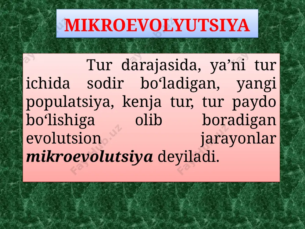 jasida evolutsiyaning sintetik nazariyasi yaratildi. evolutsiya sintetik nazariyasining asosiy qoidalarini quyidagicha ifodalash mumkin: 1 2 populatsiya – evolutsiyaning eng kichik, elementar birligi. populatsiya genetik tarkibining o‘zgarishi evolutsiyaning elementar hodisasi hisoblanadi. 3 4 evolutsiyaning boshlang‘ich materiali mutatsion va kombinativ o‘zgaruvchanlik hisoblanadi. evolutsiyaning harakatlantiruvchi omillari: populatsiya to‘lqini, genetik-avtomatik jarayonlar (genlar dreyfi ), migratsiya, alohidalanish, yashash uchunkurashda yuzaga chiqadigan tabiiy tanlanishdan iborat. 5 6 mutatsion va kombinativ o‘zgaruvchanlik, populatsiya to‘lqini va alohidalanish tasodifiy yo‘naltirilmagan xarakterga ega omillardir. evolutsiyaning yo‘naltiruvchi omili yashash uchun kurash asosida paydo bo‘ladigan tabiiy tanlanishdir. evolutsiya sintetik nazariyasining asosiy qoidalarini quyidagicha ifodalash mumkin: 7 8 evolutsiya asta-sekin va uzoq davom etadigan jarayondir. tur o‘zaro bog‘langan, morfologik, fiziologik va genetik jihatdan farq qiladigan, biroq reproduktiv jihatdan alohidalashmagan birliklar – kenja turlar va populatsiyalardan tarkib topadi. 9 10 allellar almashinuvi, genlar oqimi tur ichidagina ro‘y beradi. evolutsiya divergent xarakterga ega, ya’ni bir turdan bir necha turlar kelib chiqishi mumkin, ba’zan esa yagona …