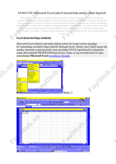 microsoft excel jadval muxarririda amaliy ishlar bajarish. — DOC