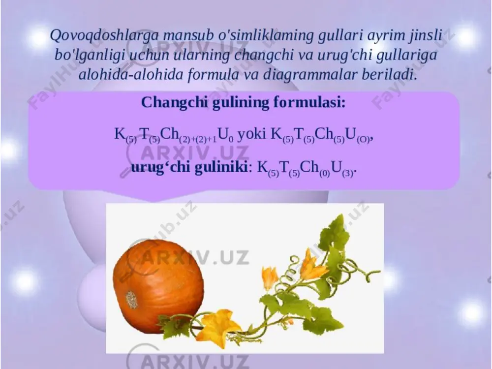 qovoqdoshlar oilasi - Page 5