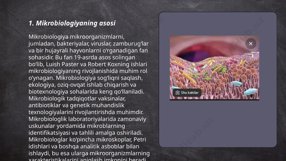 a corynebacterium kiradi. teridagi mikroflora immunitet tizimini qo'llab-quvvatlaydi, patogen mikroorganizmlar rivojlanishini oldini oladi va terining namligini saqlashga yordam beradi. mikroflora muvozanatini buzadigan omillar orasida gigiyena vositalari, stress va noto'g'ri ovqatlanish kiradi. shu bilan birga, mikroflora balansi teri kasalliklariga ta'sir ko'rsatadi, masalan, akne yoki ekzema. mikroflora hajmi va turi yoshga, jinsga va yashash sharoitlariga qarab o'zgarishi mumkin. ... t.me/slaydai_bot og'iz bo'shlig'i mikroflorasi odam organizmining muhim qismi bo‘lib, u bakteriyalar, viruslar, zamburug‘lar va boshqa mikroorganizmlardan iborat. taxminan 700 xil mikroorganizmlar turi og'iz bo'shlig‘ida yashaydi. ushbu mikroflora og'izning sog‘lom muvozanatini ta’minlaydi, oziq-ovqat hazm bo‘lishida va kasalliklarga qarshi himoya qilishda ishtirok etadi. stomatologik kasalliklar, masalan, karies va periodontit, mikroflora balansining buzilishi bilan bog‘liq bo‘lishi mumkin. og'iz bo'shlig‘i salomatligini saqlash uchun gigiyena qoidalariga rioya qilish muhim. аввалги yillarda o‘tkazilgan tadqiqotlar ko‘rsatganidek, ko‘p miqdorda shakar iste’mol qilish va yomon gigiyena odatlari bu mikrofloraning salbiy o‘zgarishiga olib kelishi mumkin. ... t.me/slaydai_bot 7. burun va nafas yo'llari mikroflorasi …