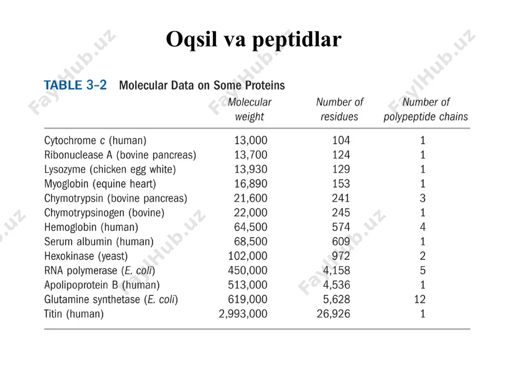 ) molekulyar massasi (kichik va yuqori molekulali) kimyoviy tuzilishi (oddiy va murakkab) bajaradagan funksiyasi xujayrada joylashishi organizmda tarqalishi (qon, limfa, yurak) miqdoriy jihatdan o׳zgarib turishi (doimiy – konstituitiv va indutsibel) yashash davri (qisqa va uzoq muddatli) oqsillarning 4 xil qurilish darajalari tafovut etiladi: birlamchi struktura aminokislotalar ketma-ketligi α spiral polipeptid zanjir subbirliklar ansambili ikkilamchi struktura uchlamchi struktura turtlamchi struktura oqsil molekulasi polipeptid zanjirida aminokislotalarning ma’lum tartibda ketma-ket joylashishiga oqsillarning birlamchi strukturasi deb aytiladi. oqsillar birlamchi strukturasi asosida peptid bog׳i yotadi. oqsil tuzilishi n-uchi c-uchi peptid bog peptid bog׳ni hosil bulishi peptid (amid) bog peptid bogc-n 0,132 nm peptid bog׳ tuzilishi n-oxiri c-oxiri peptid bog trans konfiguraciyaga ega oqsillarning biologik xususiyatlari va spetsifikligi ularning birlamchi strukturasiga bog׳liqdir. oqsil molekulasidagi 1 yoki 2 aminokislotaning boshqa aminokislotaga almashishi ular vazifasining buzilishiga olib keladi. oqsilarning tur (insulin) va tur ichidagi spetsifikligi ularning birlamchi strukturasiga bog׳liqdir. insulin a zanjirining tur spetsifikligi tur aminokislota qoldiqlarini joylashishi …