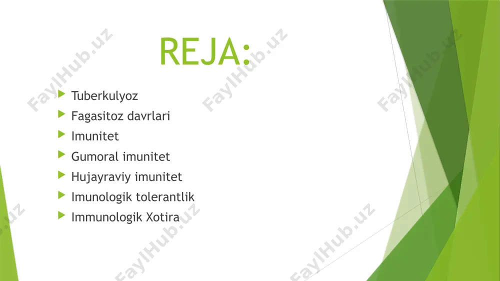 moral immunitet (antitela hosil qiluvchi); • hujayraviy immunitet (sekinlashgan turdagi yuqori sezuvchanlik); • tolerantlik; • immunologik xotira; • allergiya. hujayraviy reaksiyalar - immun limfotsitlarining bevosita yot tanalarga (yoki ularsintez qilgan mediatorlarga) hujum qilishi hisoblanadi, ular yana ko‘pgina antigenlar kirganida ham rivojlanadi; bir qator boshqa infeksiyalarda (tuberkulyoz, moxov), transplantat ko‘chib tushishida va o‘smaga qarshi immunitetda ula asosiy rolni o‘ynaydi. so‘nggi o‘n yillikda shu narsa isbotlandiki, immun javobning bu ikki xil usulida samarador hujayralar bo‘lib, turli tipdagi limfotsitlar hisoblanar ekan: • gumoral immunitetda b-limfotsitlar; ° hujayraviy immunitetda t-limfotsitlar gumoral immunitet vaksina yuborilganidan so‘ng antitelalar titri rivojlanib o‘sib boradi va ushbu vaksinatsiya qilingan hayvonlarda infeksiya yuqsa, titr yuqori cho‘qqiga chiqadi hamda yaqqol maksimal rezistentlik hosil botadi. tajribada agar tuberkulyozning kechishi sezilarli darajada uzaysa, kimyoterapiya o‘tkazilgan hollarda antitelalar sintezi kuchayishi kuzatiladi. hujayraviy immunitet hujayraviy immunitetning reaksiyasi t-limfotsitlami antigenlar bilan o‘zaro ta’siri, keyin esa t-limfotsitlaming boshqa subpopulyasiyalari yoki samarali vazifani bajaradigan makrofaglami safarbar qilishdan iborat …