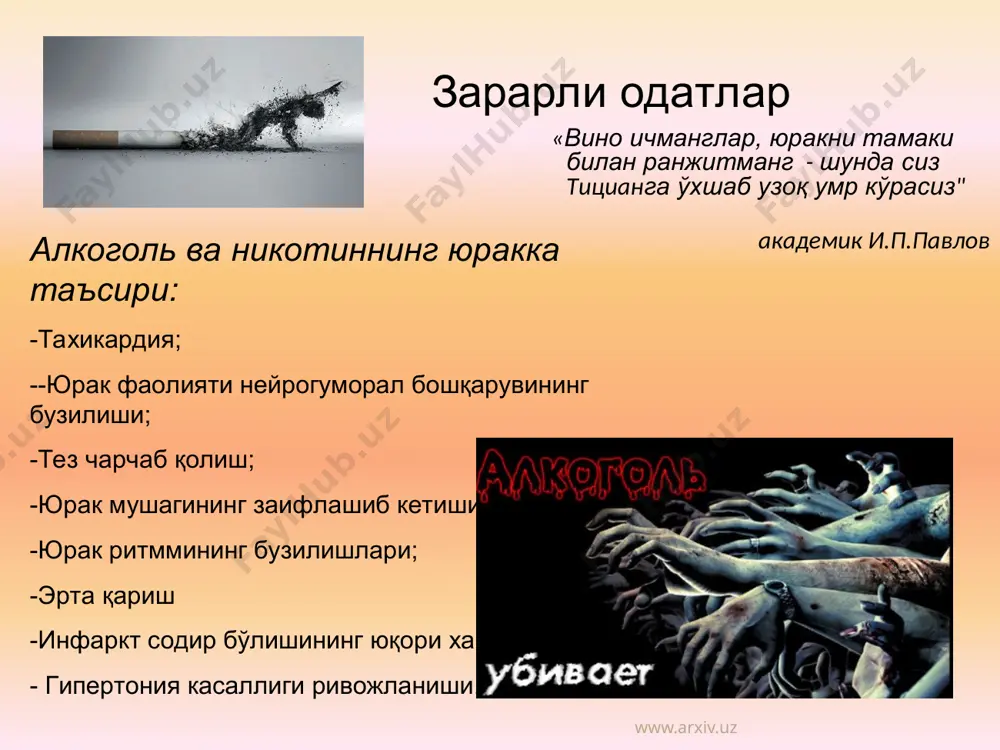 йракусти безига захарли таъсири натижасида андроген гормонлар ишлаб чиқарилиши камайиши ва натижада мижознинг пасайиши содир бўлади. аёлларда эса хайз кўриш цикли бузилади. спиртли ичимликларнинг хомиладорлик даврида истеъмол қилиш унинг хомилага салбий таъсир ўтказиши ва бўлғуси фарзандда ичкиликка туғма мойиллик ривожланишига сабаб бўлади. www.arxiv.uz юрак-қонтомир тизимига таъсири алкоголь қонга сўрилиши биланоқ барча ички аъзоларга тезлик билан тарқалиб, улар тўқимасига сўрилади. айниқса қонтомирларга бой аъзоларда кўпроқ сўрилади. айниқса мия, жинсий аъзоларда алкоголь узоқроқ қолиб кетади. шунинг учун ҳам ушбу аъзолар спиртли ичимликлардан кўпроқ жабрланадилар. www.arxiv.uz www.arxiv.uz алкоголь ичакдан қонга сўрилгандан бошлаб эритроцитлар парчалана бошлайдилар, яъни гемолиз содир бўлади. натижада улардан гемоглобин қонга чиқиб кетиб улар ўз функцияларини бажара олмай қоладилар. гемолиз www.arxiv.uz www.arxiv.uz www.arxiv.uz ошқозон, ошқозон ости бези организмга алкоголь тушганда энг аввало қизилўнгач ва ошқозон шиллиқ пардалари жабрланади. спиртли ичимлик қанчалик ўткир бўлса жарохатланиш ҳам шунчалик кучли намоён бўлади. алкоголь ошқозоности бези ферментлари ишлаб чиқарилишини бўғади ва овқат хазм бўлиши жараёни …