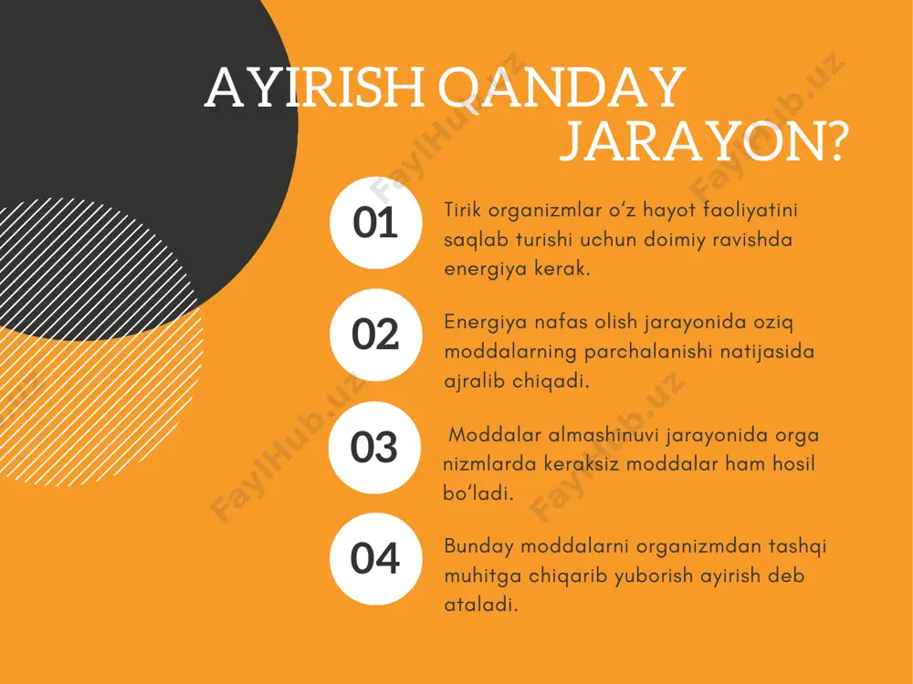 ayirish jarayoni haqida ma'lumotlar - Page 3