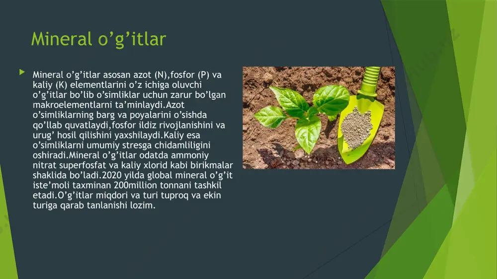 zamonaviy intensiv o‘g‘it turlari va ularning istiqbollari - Page 4