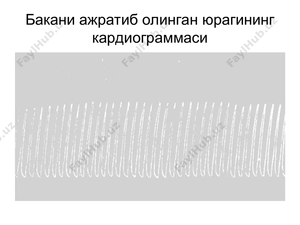 юракнинг гемодинамик функцияси - Page 5