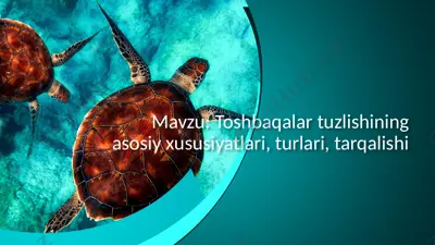 toshbaqalartuzilishi — PPTX