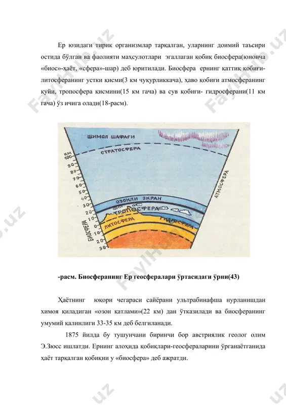 массасини, минерал бирикмаларининг катта массасини аъзолари, терилари, хужайралари, қонлари орқали минглаб марталаб ўтказган ва бутун ер муҳитини ўзгартирган( акимова,1998). биосферада ҳозирда 500 мингга яқин ўсимлик турлари ва 1,5 млн.дан ортиқ ҳайвон турлари мавжуддир. нообиотик босқичининг шаклланиши 40-50 минг йил олдин бошланган деб ҳисобланади. биосферанинг умумий массаси бошқа қобиқлардан фарқланади(1-жадвал). тирик организмлар биргаликда жуда катта иш бажаради. 1-жадвал ер қобиқларининг массалари ер қобиқлари масса(тонналарда) литосфера 2,08 х 1018 гидросфера 1,39 х 1018 атмосфера 5,20 х 1015 биосфера 1,36 х 1012 ер юзидаги барча тирик организмлар йиғиндисини в.и.вернадский «тирик модда» деб атайди. ҳозирги вақтда бу тушунча биота деб ҳам номланади. в.и.вернадский бўйича биосферанинг қуйидаги таркибий қисмлари ажратилади: · тирик модда(биота)-барча тирик организмларнинг йиғиндиси; · ўлик модда- ҳосил бўлишида тирик организмлар қатнашмайдиган тоғ жинслари, сув, минераллар ва бошқалар; · биоген моддалар-организмлар ҳаёт фаолияти маҳсули сифатида ҳосил бўлган кўмир, торф, нефть, газ ва бошқалар; · оралиқ модда-биоген моддаларнинг нообиоген келиб чиққан минерал жинслар билан …