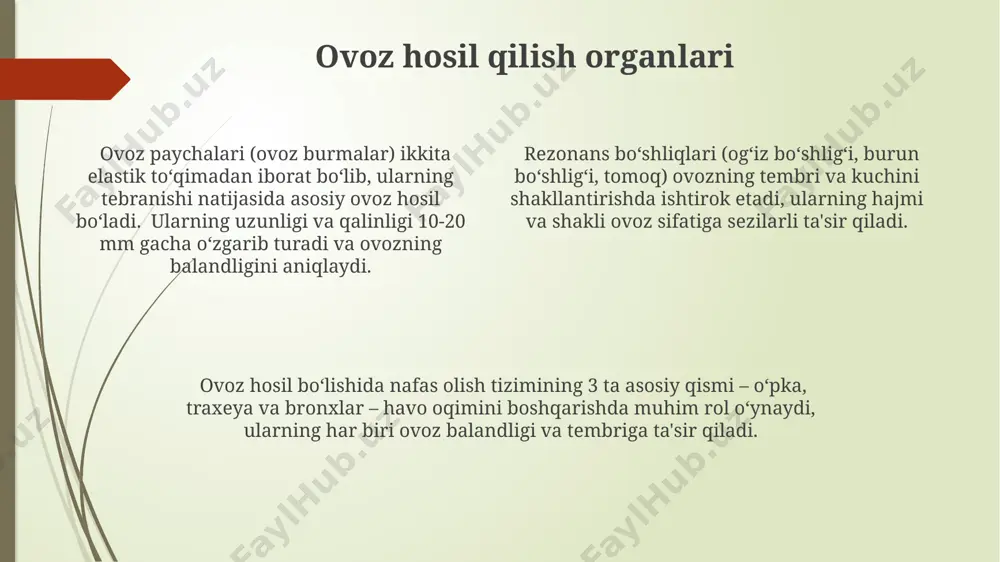 nutq organlari va vazifalari - Page 4