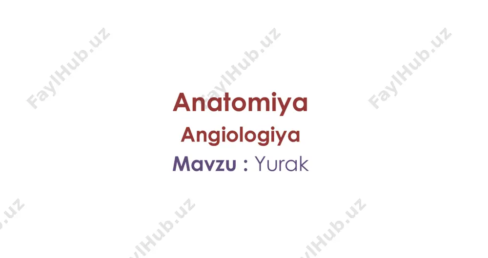 kovak venalar orasida  embrionda qonni v. cava superior dan o’ng qorinchaga yo’naltiradi sinus venarum cavarum – kovak venalar quyiluvchi kengaygan qism valvula v. cavae inferioris – v. cava inferior ning quyilish joyida  embrionda – qonni v. cava inferior(o’ng bo’lmacha)dan oval teshikka, u orqali chap bo’lmachaga yo’naltiradi septum interatriale • fossa ovalis – limbus fossa ovalis ni chegaralaydi  embrionda – foramen ovale (oval teshik) auricula dextra – bo’lmachaning qo’shimcha bo’shlig’i • ichki yuzasida – mm.pectinati • crista terminalis • mm. pectinati tugaydigan joy • tashqi yuzada sulcus terminalis ga to’g’ri keladi auricula dextra ostium atrioventriculare dextrum • o’ng bo’lmachadan o’ng qorinchaga ochiladi valva atrioventricularis dextra (tricuspidalis) • cuspis septalis • cuspis anterior • cuspis posterior 2. ventriculus dexter • trabeculae corneae – muskul to’rini hosil qiladi • mm. papillares – so’rg’ichsimon muskul • chordae tendinae – mm. papillares dan valva atrioventricularis ga tortiladi • ostium trunci pulmonalis – …