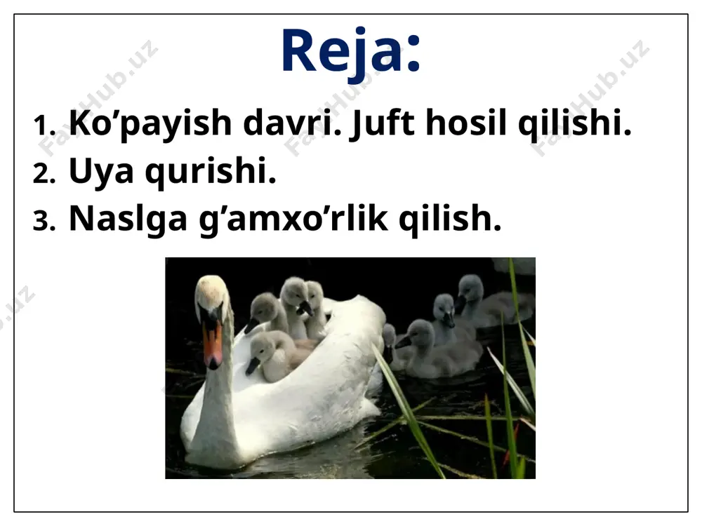 an 8-10 yilgacha, birmuncha yirik qushlar 30-40 yil (baliqchi qushlar, turnalar, tasqara, afrika tuyaqushi), hatto 50-70 yil (ukki, qarg’a, burgut, oq birqozon, to’tiqushlar) umr ko’radi. naslga g’amxo’rlik qilish naslga g’amxo’rlik qilish pingvinlar tuxumlar soni bitta. o’z tuxumlarini jo’ja ochib chiqqangacha bosib, tanasi bilan isitib yotadi. naslga g’amxo’rlik qilish poligam qushlar tuxumini faqat urg’ochilari bosib yotadi (tovuqsimonlar, g’ozsimonlar) naslga g’amxo’rlik qilish yo'rg'a tuvaloqning urg'ochisi yirtqich hayvonning e'tiborini o'ziga tortish va jo'jalaridan uni nariroqqa olib ketish uchun nayrang ishlatadi. u yaralangan holatga kelib qanotlarini sudraganicha yirtqichning oldiga tushib yugura boshlaydi. e’tiboringiz uchun rahmat! image1.png image2.png image3.png image4.png image8.jpeg image9.png image10.png image11.png image12.png image13.png image14.jpeg image15.jpeg image16.jpeg image17.jpeg image18.jpeg image19.png image20.png image21.jpeg image22.png