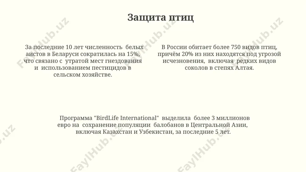 ты птицы - Page 4