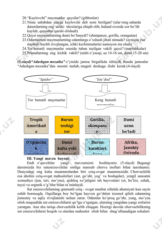 ka) 13. keng burunli maymunlarga xos xususiyatni ayting. (burun kataklari keng, dumi uzun) 14. keng burunli maymunlarga misol ayting. (o’rgimchak maymun kaputsin, o’ynoqi maymun) 15. tor burunli maymunlar qayerda uchraydi? (afrika va jan.osiyo) 16. tor burunli maymunlarga xos xususiyatlarni ayting. (burun katagi tor, dumi kalta yoki bo’lmaydi) 17. primatlar orasida eng yirik va yuksaktuzilgani qaysilar? (odamsimon maymunlar) 18. gorilla va shimpanze qaysi qit’ada uchraydi? (afrika) 19. kalimantan va sumatra orolida qaysi maymun uchraydi? (orangutan) 20. “kuylovchi” maymunlar qaysilar? (gibbonlar) 21. nima sababdan ularga kuylovchi deb nom berilgan? (ular tong saharda daraxtlarning eng uchki shoxlariga chiqib olib, baland ovozda xor bo’lib kuylab, quyoshni qarshi olishadi) 22. qaysi maymunlarning dumi bo’lmaydi? (shimpanze, gorilla, orangutan) 23. odamsimon maymunlarning odamlarga o’xshash jihati nimada? (ayniqsa yuz muskuli kuchli rivojlangan, ichki kechinmalarini namoyon eta oladi) 24. tor burunli maymunlar orasida tuban tuzilgan vakili qaysi? (martishkalar) 25. primatlarning eng kichik vakili? (mitti o’ynoqi, uz 14-16 sm, dumi …