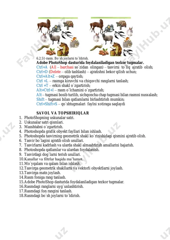 adobe photoshop dasturining ish qurollari - Page 5