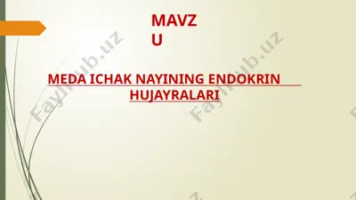 meda ichak nayining endokrin  hujayralari — PPTX