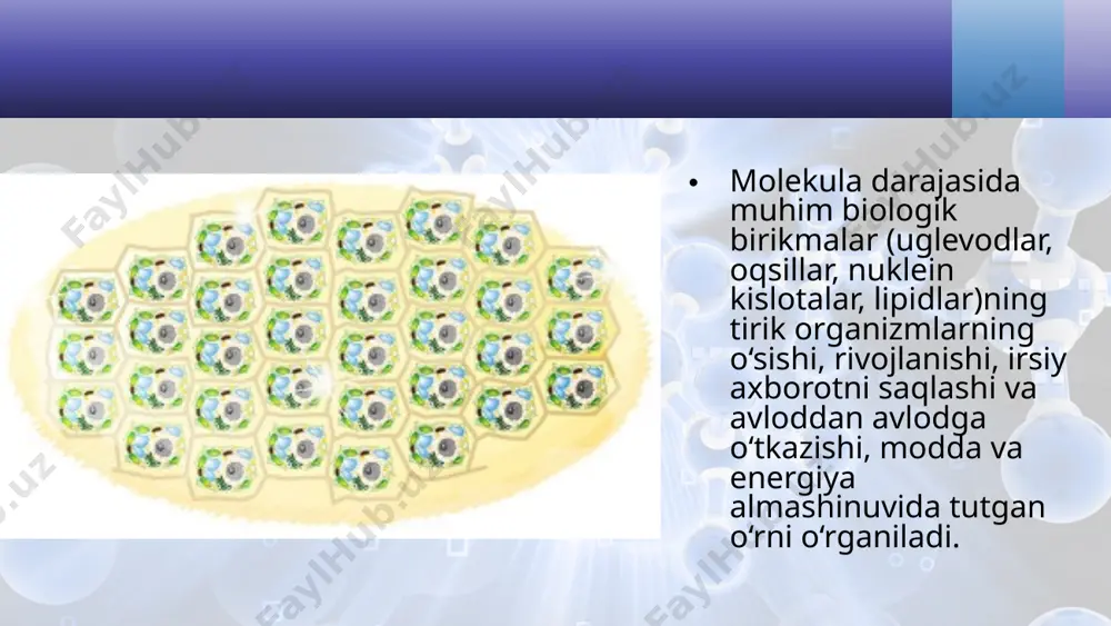 hayotning molekula darajasi va uning o‘ziga xos jihatlari. 10 - sinf - Page 4