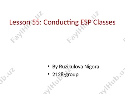 esp practitioner roles presentation — PPTX