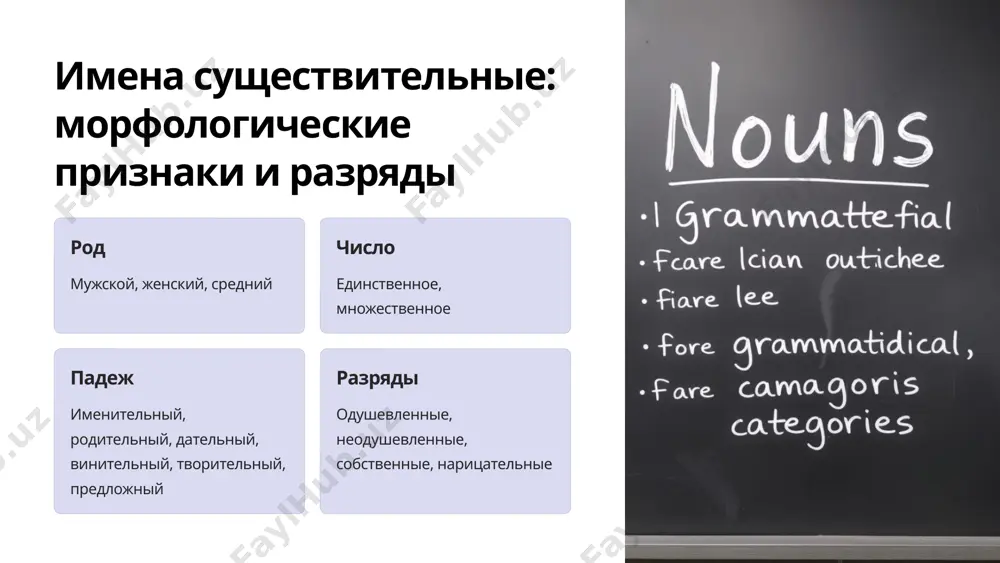 анализ форм существительных и прилагательных в тексте - Page 3