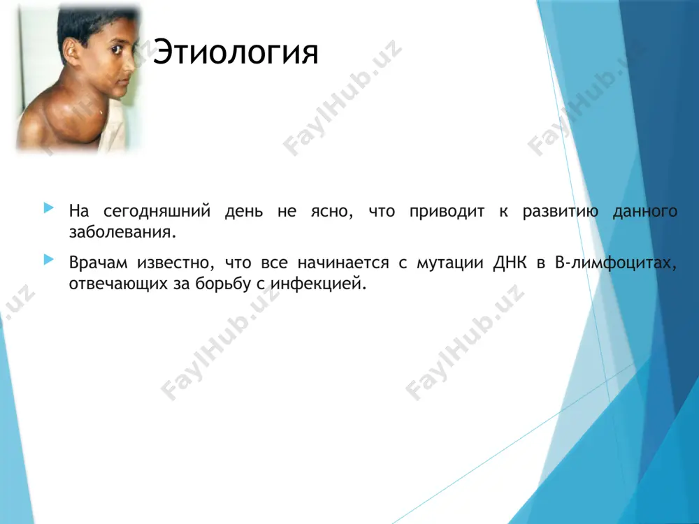 ацией в окружности, а иногда с изъязвлением диагноз лимфомы ходжкина устанавливается исключительно морфологически и считается доказанным только в том случае, если при гистологическом исследовании найдены специфические многоядерные клетки березовского-рид-штернберга. дифференциальный диагноз бх проводится в первую очередь с другими крупноклеточными лимфомами, как в-, так и т-клеточными, а также с неспецифическими лимфаденопатиями, и во всех сомнительных случаях необходимо прибегать к иммуноморфологическому исследованию. методы исследования для больных с подозрением на лгм: анамнез заболевания осмотр больного с регистрацией всех зон поражения и размеров опухолевых образований общий анализ крови с подсчетом тромбоцитов общий анализ мочи биохимические исследования - общий белок крови, фракции белка, трансаминаз, билирубин, креатинин, мочевина, фосфотазы, фибриноген, сахар рентгенография органов грудной клетки с томографией средостения и определением соотношения наибольшего диаметра медиастинальных масс к размеру грудной клетки (менее 0,33) ультразвуковое исследование печени, селезенки, забрюшинных, мезентериальных лимфатических узлов и/или компьютерная томография трепанбиопсия или стернальная пункция с подсчетом миелограммы осмотр лор-органов исследование органов жкт, рентгенография, фиброгастроскопия …