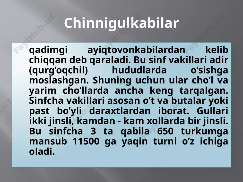 da uchida bittadan joyiashgan, kosabargi 25 - 32 mm, silindrsimon, tor uchburchakli, o’tkir tishchali. tojbarglari 40 - 45 mm. oq yoki och qizil rangli. chuqur o’yilgan boladi. may, iyul oylarida gullab, urug’i iyul, avgust oylarida yyetiladi. bizda barcha tog’li tumanlarda mayda shag’al toshli va toshli yerlarda o’sadi. guli xushbo’y hidli bo’lib, tarkibida qimmatli efir moyi bor, undan parfumeriya sanoatida yuqori sifatli atir va odekolonlar ishlab chiqarishda foydalanish mumkin. manzarali o’simlik. gul dormulasi:* ♀♂ са(5)со5а5+5 g( 2) chinniguldoshlar turkumlari - yulduzo’t-stellaria. poyasi yotib yoki biroz ko’tarilib o’sadigan bir yillik va ko’p yillik o’simliklar kiradi. 18 turi o’rta osiyoda o’sadi. yetmak-acanthopullum ildizida ko’pirtiruvchi modda bor, qandolatchilikda ishlatiladi. zo’rcha -silene bir yillik, ko’p yillik o’t o’simlik, daryo va ariqlar bo’yi, bedapoyalar, sabzavot ekinlari orasida, cho’l, adir va tog’ hududlarida uchraydi. chinniguldoshlar oilasiga mansub 10 ta tur o’zbekiston qizil kitobiga kiritilgan sho’radoshlar-chenopodiaseae - oilasiga bir yillik, ikki yillik yarim buta va kichik daraxtlar kiradi. …