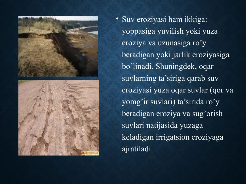 ning bir ko’rinishidir. yer nishabligi katta bo’lgan yerlar o’zlashtirilib paxtachilikda foydalana boshlashi natijasida keyingi yillarda ana shunday eroziya maydonlari ko’payib bormoqda. masalan, o’zbekistonning sug’oriladigan rayonlarida irrigatsion eroziya maydonlari 1965 yilda 395,1 ming gektar bo’lgan bo’lsa, 1990 yilga kelib taxminan 951,9 ming gektarni tashkil etdi. xozirgi kunga kelib respublika bo’yicha sug’oriladigan yerlarning deyarli yarmida eroziya jarayonlari kuzatilmoqda. tuproqning irrigatsion eroziyasi asosan nishab yerlarda ekinlarni ko’p suv oqizib sug’orish sababli yuzaga keladi. maydon nishabligi 2-30 bo’lganda tuproq yuzasini suv yuvib keta boshlaydi. o’zbekiston tuproqshunoslarining ma’lumotlariga ko’ra, qiya maydonlarda bir marta egatlab sug’orilganda suv oqizib ketadigan tuproq gektariga 22-50 tonnaga, o’ta qiyaliklarda esa 690 tonnaga etadi. masalan, 3-50 nishab maydonlardagi oqova suvlarda 94 foiz-tuproq va atigi 6 foiz qum borligi aniqlangan. bir yilda har gektardan o’rtacha 100 t tuproqning yuvilib ketishi 100 kg azot va 115 kg/ga fosfor yo’qolishi demakdir. h.hamdamov i.boboxo’jaevning ma’lumotlariga ko’ra (1986 y), bir xil kattalikda bo’lgan uchastkalarda va past-baland …