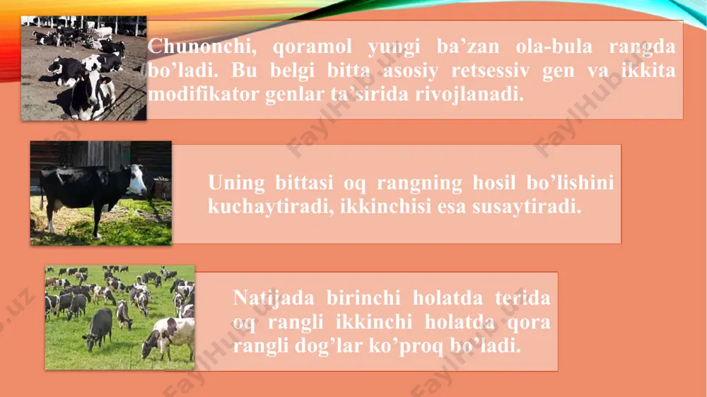 modifikator genlar ta'siri - Page 4