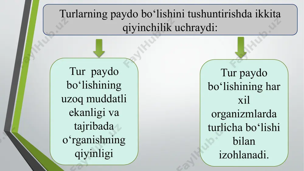 turlarning paydo bo‘lishi - Page 5