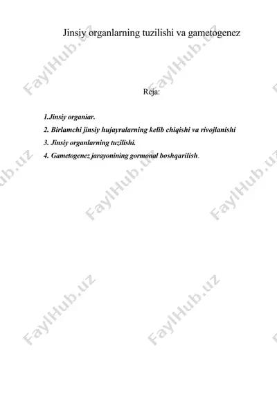 jinsiy organlarning tuzilishi va gametogenez — DOC
