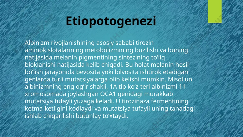 albinizm kasalligi - Page 5