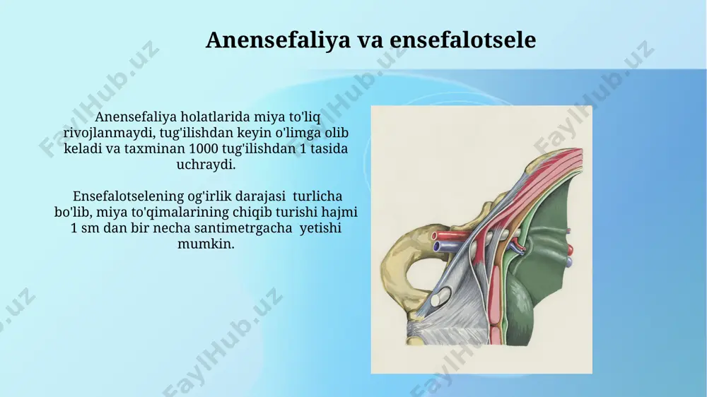 tayanch harakat tizimi tugʻma anomaliyalari - Page 5