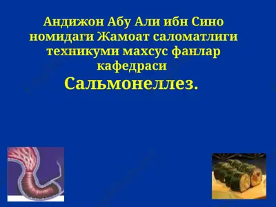 сальмонеллез — PPTX