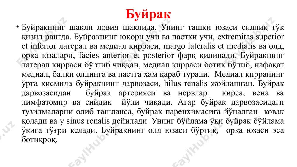 иб туриши мумкин. нормада икки буйракнинг бўйлама ўқлари юқори медиал томонга қийшиқ йўналган бўлиб, маълум бурчак остида кесишади. буйракнинг тузилиши буйрак бўйлама йўналишда кесилганда, буйрак косачалари, буйрак жоми жойлашган унинг каваги, sinus renalis ва буйракнинг хусусий моддаси кўринади. буйракда икки хил модда cortex renalis, буйракнинг пўстлоқ моддаси ва буйракнинг мия моддаси medulla renalis фарқланади. буйракнинг пўстлоқ моддаси, унинг периферик қисмини эгаллаб, 4 мм гача қалинликда бўлади. мия моддаси эса, пирамида шаклида бўлиб, pyramides renalis деб аталади. буйрак пирамидалари ўз асослари билан аъзонинг ташқи юзасига, учи билан эса буйрак синуси томон қараган. пирамидаларнинг 2 ёки 3 тасининг учлари умумлашиб, буйрак сўрғичи papillae renales ни ҳосил қилади. бундай буйрак сўрғичларининг сони 12 тагача. буйрак сўрғичининг юзасида кўплаб тешикчалар foramina papillaria лар бор. foramina papillaria орқали сийдик буйрак кичик косачасига тушади. буйракнинг тузилиши буйракнинг пўстлоқ моддаси, унинг мия моддалари, пирамидалари оралиқларига кириб, уларни бир-биридан ажратади. пўстлоқ модданинг бу қисми буйрак устунлари columnae renales …