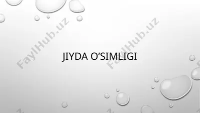 jiyda o‘simligi — PPTX