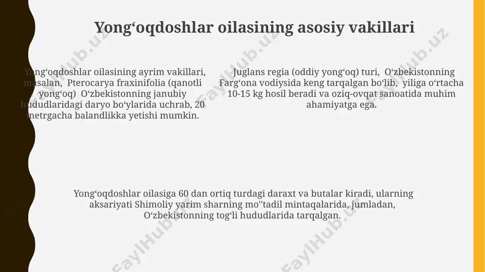 sm gacha uzunlikka etishi mumkin. yongʻoqdoshlar oilasiga 60 dan ortiq turdagi daraxt va butalar kiradi, ularning aksariyati shimoliy yarim sharning mo''tadil va subtropik mintaqalarida, masalan, shimoliy amerika va osiyoda tarqalgan. yongʻoqdoshlar oilasining mevalari qattiq po'stloq bilan qoplangan yongʻoq shaklida bo'ladi va ko'pincha 2-6 ta bo'lakdan tashkil topgan to'rtta yoki beshta qirrali, ikki qavatli kurtakli tuzilishga ega. e'tiboringiz uchun rahmat @taqdimot_robot