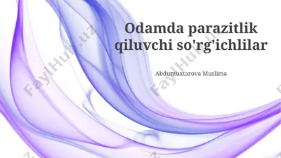 parazit qurtlar — PPTX