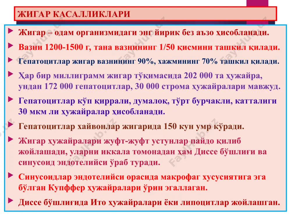 лари вирусли гепатит, бу - гепатотроп вирусларнинг цитотоксик ва аутоиммунлаш таъсири натижасидаги жигарнинг яллиғланишли касаллигидир. этиологияси: а, в, с, d, е, f, g гепатотроп вируслар. а вирусли гепатит доимо ўткир кечади, фекал-орал йўл билан юқади, вирус бевосита цитотоксик таъсир кўрсатиб, жигар ҳужайраларини некрозлайди. е вирус ҳам фекал-орал йўл билан юқиб ўткир вирусли гепатит қўзғатади. в ва с вирусли гепатитлар ўткир ҳамда сурункали кечади, парентерал йўл билан, ҳамда йўлдош орқали онадан болага ўтади. вирус билан касалланган гепатоцитлар иммун реакциялар орқали йўқ қилинади. d вирус фақат в вирус билан касалланганларга юқади. f, g вируслар, в ва с борлигида юқади ва гигант ҳужайралар пайдо қилади. ўткир вирусли гепатит шиддатли некротик гепатит а ва е вируслар қўзғатган массив некроз ва қон қуйилиш ўчоқлари. вакуоляр дистрофия каунсилмен оқсили портал йўлларидаги лимфоид инфильтрация лимфоцитлар ва макрофаглардан иборат. 1 1 2 3 4 5 3 сурункали фаол вирусли гепатит сурункали актив гепатит перипортал пағонасимон некроз кўприксимон некрозлар …
