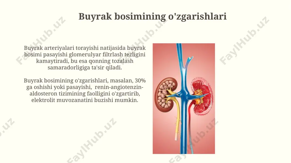 kaltsiyni qayta soʻrib olishni tartibga soladi. fosfor metabolizmida buyraklar 85% gacha fosforni filtrlaydi va qayta soʻrilishini nazorat qiladi, bu jarayon kaltsiy va d vitamini bilan chambarchas bogʻliq. buyrak tubulalari funksiyasi proksimal buyrak tubulalari glyukoza, aminokislotalar va boshqa muhim moddalarni faol transport yordamida qonga qaytaradi, ularning siydik bilan yo'qotilishini oldini oladi. buyrak tubulalari qondagi 120 ml/minut filtrlanadigan suyuqlikning 99%ini qayta so'rib oladi, shu bilan qimmatli elektrolitlar va suvni saqlaydi. reabsorpsiya va sekresiya jarayonlari buyrak naychalarida suvning 99% dan ortig'i faol va passiv reabsorbsiya orqali qayta so'riladi, bu jarayonda antidiuretik gormon (adh) muhim rol o'ynaydi. proksimal buyrak naychalarida glyukoza va aminokislotalar kabi foydali moddalarning deyarli 100% reabsorbsiyasi sodir bo'ladi, bu esa organizm uchun muhim bo'lgan bu moddalarning yo'qotilishini oldini oladi. buyrak sog'lig'ini saqlash buyraklar kuniga taxminan 1,5 litr qonni filtrlaydi, bu organizmdagi zararli moddalarni tozalashda muhim rol o'ynaydi va organizm suyuqlik muvozanatini saqlashga yordam beradi. buyraklarning sog'lom ishlashi uchun kuniga kamida 2 …