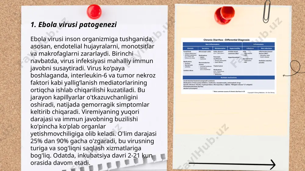 me/slaydai_bot zika virusi laboratoriya tashxisi odatda qondagi virus rna'sini aniqlash uchun rt-pcr testi yordamida amalga oshiriladi. ushbu test kasallikning dastlabki bosqichida, simptomlar paydo bo'lishidan taxminan 3-7 kun o'tgach, eng samarali hisoblanadi. serologik testlar igm antitanasini aniqlash uchun qo'llaniladi, ammo bu usulda boshqa flavi viruslar bilan xoch-reaktivlik imkoniyati mavjud. diagnostika uchun mo'ljallangan ayrim kitlar who tomonidan tavsiya etiladi. biosafety level 2 laboratoriyalarida ishlov beriladi, chunki zika virusi odatda erta aniqlanishi va izolyatsiya qilinishini talab qiladi. ... t.me/slaydai_bot 7. ebola virusining organizmga ta'siri ebola virusi inson organizmiga kirganda, asosan immun tizimini va qon tomir tizimini shikastlaydi. virus tana hujayralariga kirib, ularni ko'payish uchun foydalana boshlaydi. natijada, tana himoya tizimi javob bera olmaydi. ebola infektsiyasi yuqori isitma, qorin og'rig'i, gijjalar, qon ketishi kabi belgilar bilan kechadi. o'lim darajasi yuqori bo'lib, kasallanganlarning 50-90% hayotdan ko'z yumadi. virus asosan qonga, tananing biologik suyuqliklariga yoki yovvoyi hayvonlar bilan aloqa qilish orqali yuqadi. epidemiyalar asosan afrika mintaqasida …
