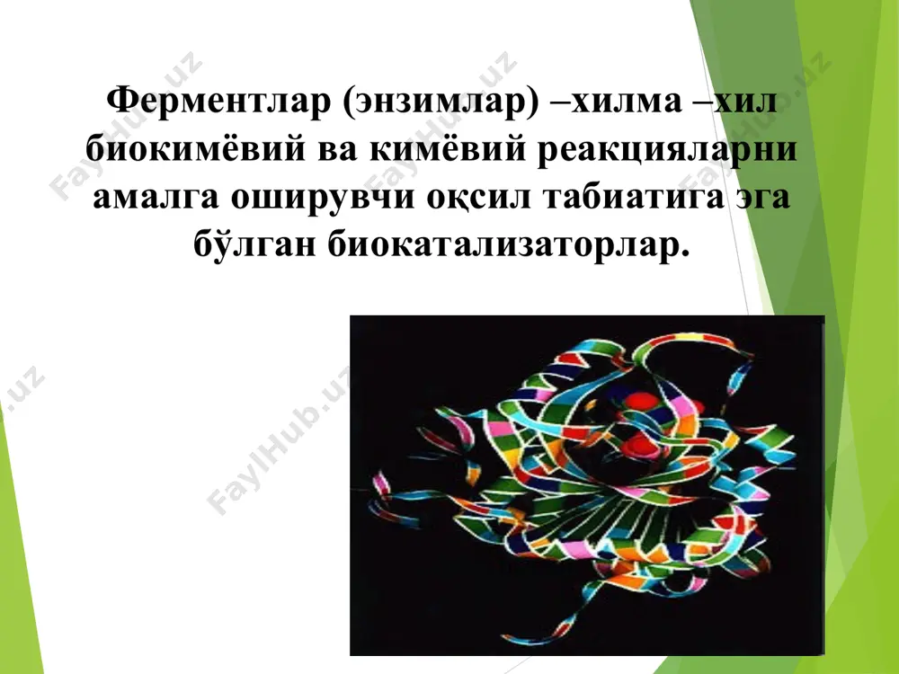 катализлайди. 6. лигазалар - атф ёки шунга ўхшаш нуклеозид трифосфатлар энергияси ҳисобига оддий молекулалардан мураккаб бирикмалар ҳосил бўлиш реаксияларини катализлайди. масалан, днк-полимераза. уларнинг организмдаги асосий хоссалари: - юқори даражада активлиги, - танлаб таъсир қилиши, – организм ҳаёти учун зарур бўлган барча кимёвий реакцияларда қатнашиш: ҳужайра ичида кетадиган парчаланиш, оксидланиш ва синтезланиш реакцияларни тезлаштириш ва бошқаришдан иборат, - реакцияда сарфланмайди, - реакцияда ҳосил бўлган маҳсулот хоссасига таъсир қилмайди, - ферментнинг фаоллиги ph муҳитга, ҳароратга, босим ва консентратсияга боғлиқ, ферментларнинг камчиликлари: a) жараён тугагандан кейин ферментларни дастлабки моддалар ва реакция маҳсулотларидан ажратиш натижасида ферментлар бир маротаба ишлатилади холос, уларни қайта ишлатиш имкони йўқ; b) узоқ вақт сақланмайди, турли таъсирларга айниқса иссиқликка чидамсиз, c) ферментларни актив ҳолда олиш ва тозалаш қийинлиги ўз-ўзидан уларни ишлатиш ниҳоятда қимматга тушишини кўрсатади. ферментлар-тирик ҳужайралар томонидан синтез бўладиган оқсил табиатли молекулалар, ҳар бир ҳужайрада бир неча юзлаб учрайди ва ҳар хил вазифаларни бажаради. улар организм учун жуда зарур …
