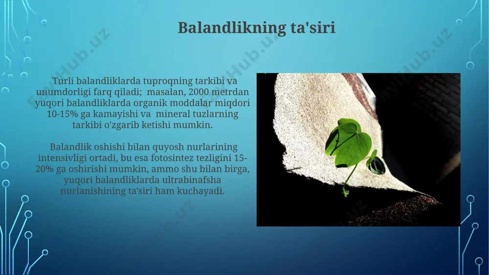 ning turli xil muhit sharoitlariga moslashishini namoyon etadi, masalan, c4 oʻsimliklari issiq va qurgʻoqchil sharoitlarda yuqori samaradorlikka ega. fotosintez jarayonida 6co₂ + 6h₂o → c₆h₁₂o₆ + 6o₂ reaksiyasi yordamida oʻsimliklar quyosh energiyasidan foydalanib, suv va karbonat angidridni glyukozaga va kislorodga aylantiradi. namlikning ta'siri namlik miqdori o'simlikning suv potensialiga ta'sir qiladi, -7 mpa dan past bo'lsa, suv tanqisligi kuzatiladi va o'sish sekinlashadi, fotosintez jarayoni buziladi. tuproq namligi 60-80% oralig'ida optimal hisoblanadi, chunki bu holatda ildizlar kislorodga va suvga yetarlicha ta'minlanadi, o'simlikning maksimal o'sishiga yordam beradi. zararkunandalarning ta'siri ba'zi zararkunandalar o'simliklarning o'sish gormonlarini buzib, ularning normal rivojlanishiga xalaqit beradi, bu esa o'simlik bo'yining uzunligini 20% gacha qisqarishiga olib kelishi mumkin. zararkunandalar hujumi tufayli o'simliklarning biomassasi 30% ga kamayishi mumkin, bu esa o'simliklarning umumiy sog'lig'iga va ularning atrof-muhit sharoitlariga chidamliligiga salbiy ta'sir ko'rsatadi. e'tiboringiz uchun rahmat @taqdimot_robot image3.jpg image4.jpg image5.jpg image6.jpg image7.jpg image8.jpg image9.jpg image10.jpg image11.jpg image12.jpg image13.jpg image14.jpg image15.jpg image16.jpg image17.jpg image18.jpg …