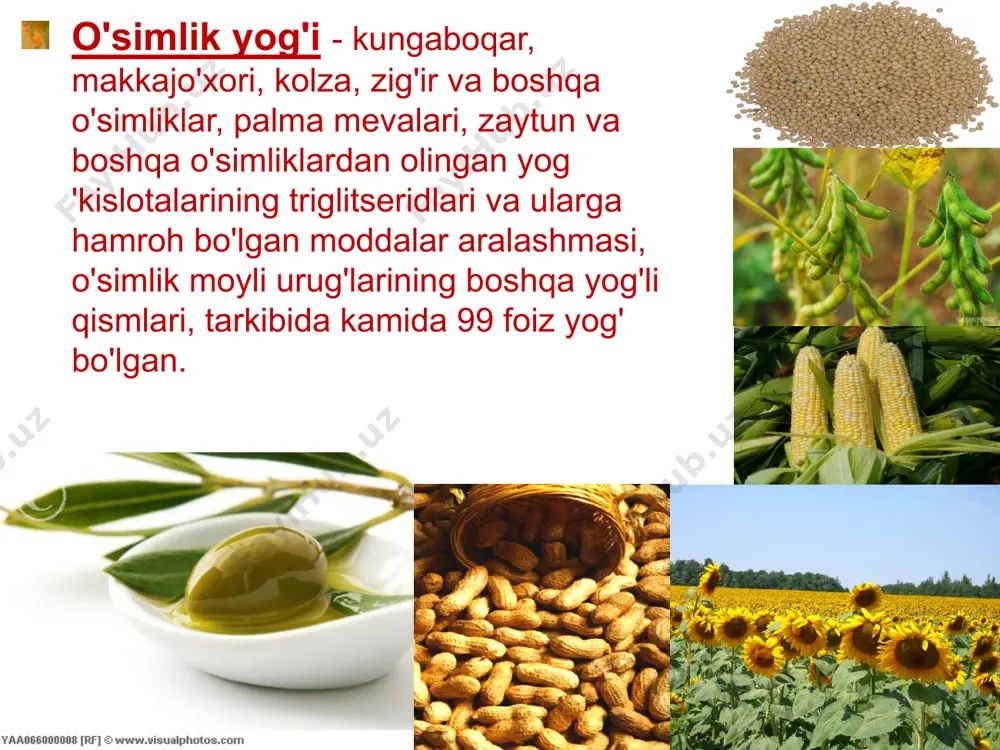 y yog'li ekinlar yog'li palma , zaytun , soya , kolza , kungaboqar , paxta , zig'ir , yeryong'oq , kunjut , ko'knori hisoblanadi. va boshq . rossiyada kungaboqar keng qo'llaniladi (kungaboqar yog'i ishlab chiqarish umumiy ishlab chiqarishning 70% dan ortig'ini tashkil qiladi), shuningdek, soya , zig'ir , yeryong'oq , kolza , paxta , xantal , haşhaş urug'lari va boshqalar. oziq-ovqat ishlab chiqarishining yog'li chiqindilari, makkajo'xori va bug'doy urug'lari ham o'simlik moylarini ishlab chiqarish uchun ishlatiladi . oʻrik, shaftoli, olcha, olxoʻri, uzum urugʻlari, tarvuz, pomidor va boshqalarning mevali urugʻlari. sifatni shakllantiruvchi omillar texnologiya tayyorgarlik ishlab chiqarish jarayonlari yog'li urug'larni kirlardan tozalash. urug'larning namligini tartibga solish . urug'larni tozalash . rushanka ikkiga bo'lingan yadro va qobiq uchun. sifatni shakllantiruvchi omillar texnologiya sifatni shakllantiruvchi omillar texnologiya asosiy ishlab chiqarish jarayonlari o'simlik moylari moyli o'simliklar urug'idan ikki usul bilan olinadi: presslash va ekstraksiya qilish ; ular, shuningdek , birlashtirilgan usulni qo'llashadi , birinchi …