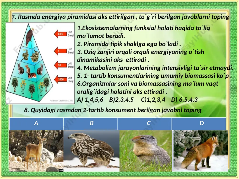bo‘ri, norka)dan iborat. bu biomlarda botqoqliklar va ko‘llar uchraydi. hayvonot olami yirik tuyoqli sutemizuvchi hayvonlar (los, kabarga), mayda o‘simlikxo‘r sutemizuvchilar (qunduz, olmaxon), yirtqich sutemizuvchilar (ayiq, silovsin, tulki, bo‘ri, norka)dan iborat. bu biomlarda botqoqliklar va ko‘llar uchraydi. mo‘tadil iqlim mintaqasining keng bargli o‘rmonlari. iqlim yil davomida o‘zgarib turadi, qishki harorat 0°c dan past. yirik bargli daraxtlar (buk, lipa, eman, zarang, shumtol), butalar va o‘tlar o‘sadi. hayvonot orasida sutemizuvchilar (los, ayiq, silovsin, tulki, bo‘ri), qushlar (qizilishton, boyqush, qorayaloq, lochinlar) asosiy o‘rinni egallaydi. tirik organizmlar mavsumiy iqlim sharoitiga moslashgan. ularda qishki uyqu, migratsiya, tinim davri kuzatiladi. dashtlarning iqlimi fasllar davomida o‘zgarib turadi, qish harorati 0°c dan past. asosan o‘tlar, qisman buta va daraxtlar o‘sadi. hayvonlar orasida tuyoqli hayvonlardan bizon, antilopa, sayg‘oq, kenguru, jirafa, zebra, oq nosoroglar; mayda sutemizuvchilardan quyonlar, yumronqoziqlar, sichqonlar; yirtqichlardan bo‘ri, sher, qoplon, gepard, giyena itlari hamda turli qushlar uchraydi. bu biogeotsenozlarda asosan boshoqli va boshqa gulli o‘simliklar o‘sadi. hayvonlar orasida …