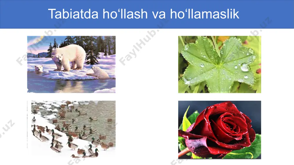 ho‘llash. kapillyar hodisalar. - Page 4