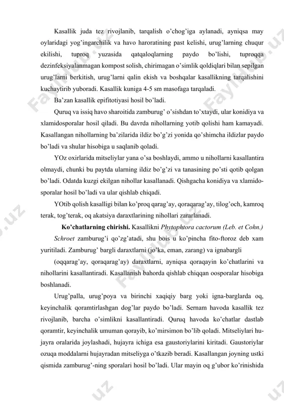 obiga boshlanadi. urug’palla, urug’poya va birinchi xaqiqiy barg yoki igna-barglarda oq, keyinchalik qoramtirlashgan dog’lar paydo bo’ladi. sernam havoda kasallik tez rivojlanib, barcha o’simlikni kasallantiradi. quruq havoda ko’chatlar dastlab qoramtir, keyinchalik umuman qorayib, ko’mirsimon bo’lib qoladi. mitseliylari hu-jayra oralarida joylashadi, hujayra ichiga esa gaustoriylarini kiritadi. gaustoriylar ozuqa moddalarni hujayradan mitseliyga o’tkazib beradi. kasallangan joyning ustki qismida zamburug’-ning sporalari hosil bo’ladi. ular mayin oq g’ubor ko’rinishida bo’ladi. konidiyabandlari ingichka, kuchsiz, kam shoxlangan, tutamga to’plangan bo’lib, ularning yuzasida rangsiz, noksimon (50-60x35 mkm) konidiyalar hosil bo’ladi. konidiyalar tushib ketgandan so’ng konidiyabandlari o’sishda davom etadi va ularning yuzasida yangi konidiyalar hosil bo’ladi. konidiyalar nisbatan quruq sharoitlarda mitseliy shaklida o’sadi, tomchi xolidagi suv yoki suyuqlik bo’lganda esa 10-50 tagacha zoospora hosil qilishi mumkin. xosil bo’lgan zoosporalar o’simlik nihollarini zararlantiradi. nobud bo’lgan yoki nobud bo’layotgan barg va o’simlikning boshqa to’qimalarida jinsiy yo’l bilan oosporalar ham hosil bo’ladi. ular o’simlik qoldiqlari bilan tuproqqa tushadi. oosporalari dumaloq, jigarrang, diametri …